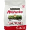 Outlet 🔔 Pennington The Rebels Tall Fescue Blend Grass Seed 3 Lb. 🎉