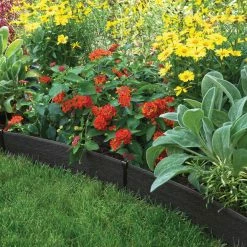 patio garden garage shop -patio garden garage shop unnamed file 265